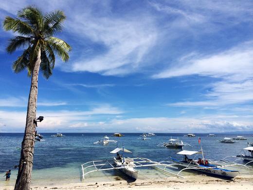 【度假村】菲律宾薄荷Bohol潜水度假村 - SeaQuest 老牌五星潜店 商品图3