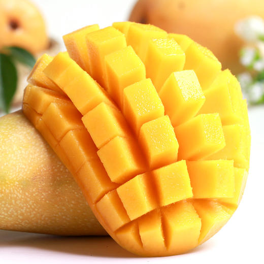 台湾特级水仙芒  4颗 大果【联想店复工福利】 商品图0