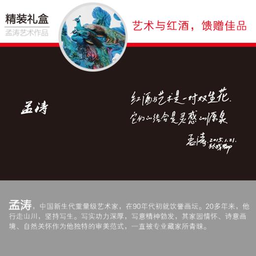 精美艺术包装盒 | 出自当代艺术家孟涛先生的孔雀作品系列 商品图1
