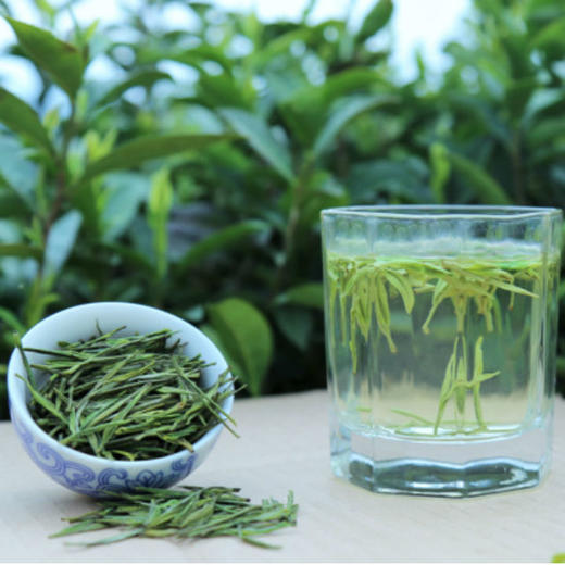 黎平白茶家庭便携装4g满6包包邮贵州特产高原茶叶