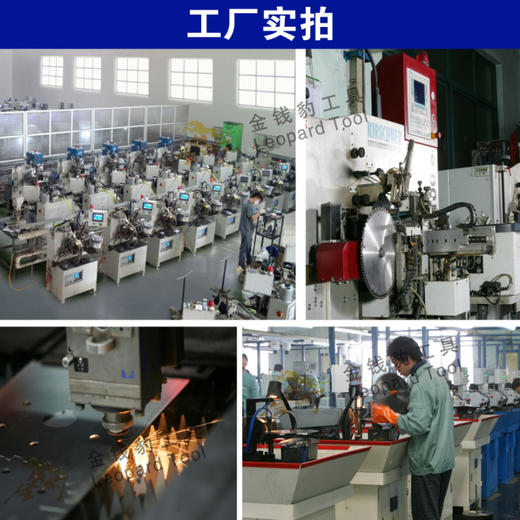 金钱豹合金片【专业系列】 商品图7