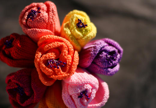 郁金香 商品图0