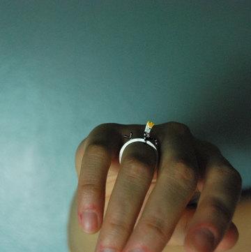 Kiss the Frog－我是你的青蛙王子 戒指（项坠）［希腊设计师］ 商品图2