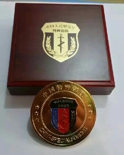 特种部队胸标 - 一个人的兵哥哥