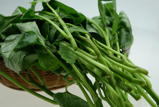 红薯叶 商品图1