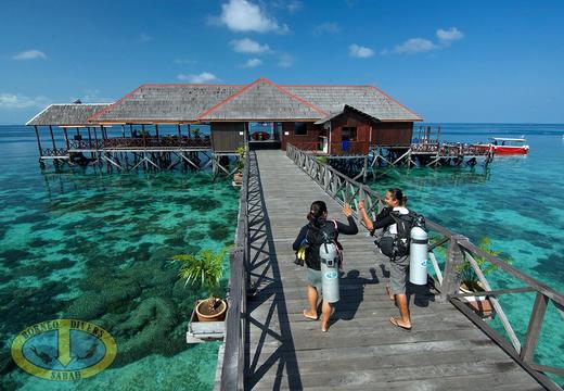 【度假村】马来西亚马布Mabul 婆罗洲度假村潜水套餐 - Borneo Divers Mabul Resort 商品图4