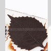 树叶巧克力模具·创意盘饰、巧克力插片模具，中西融合烹饪必备工具 商品缩略图1