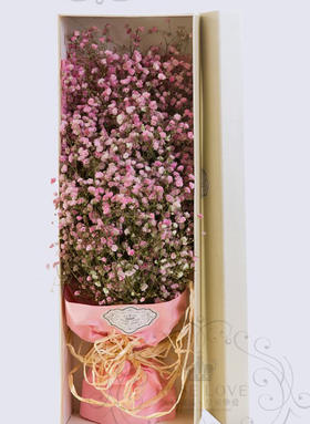 粉色天空你是主角-满天星花束-全国鲜花速递同城鲜花店配送生日花北京上海杭州广州深圳订花送花