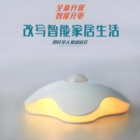 【为思礼  Datouren】四叶草 人体光线双感应小夜灯 USB充电升级版 创意时尚潮流家居