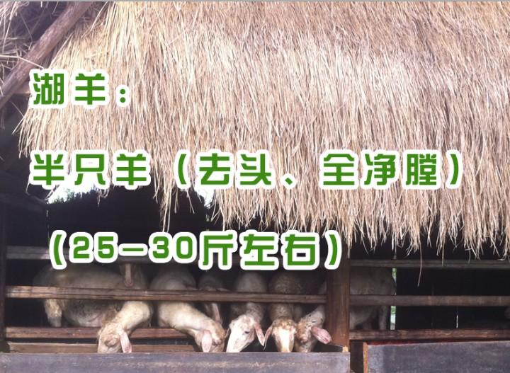 花间村吃草生态养殖湖羊半只（25-30斤左右）