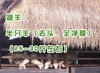 花间村吃草生态养殖湖羊半只（25-30斤左右） 商品缩略图0