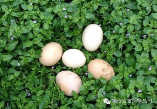 花间村土鸡蛋 （30枚/箱；3元/枚） 商品图2