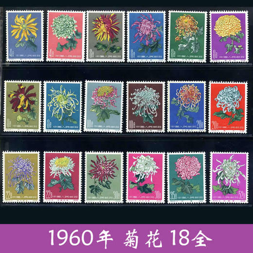 特44《菊花》1960年 老纪特邮票“六珍”之一 商品图0