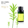 新品上架啦~【纯妧手工坊】微漾·进口99%澳洲茶树单方精油 商品缩略图0