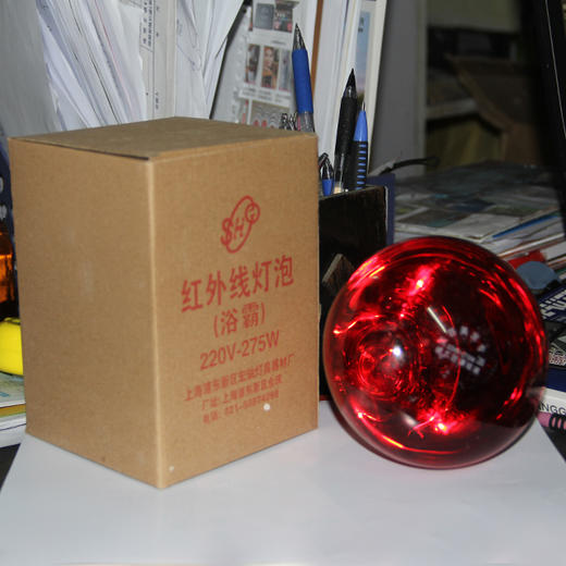 红外线灯泡（浴霸）烤灯灯泡 美容灯泡 商品图3