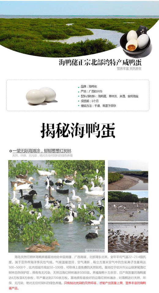 精装海鸭蛋6枚 商品图7