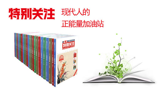 《特别关注》12年典藏全集 商品图0