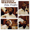 刘汉盛榜单 布鲁斯 水泥佬 Muddy Waters Folk Singer 1CD 美版 商品缩略图0