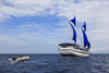 【船宿】印尼四王岛 Raja Ampat  船宿 - Indo Siren 11天10晚船宿 商品缩略图3