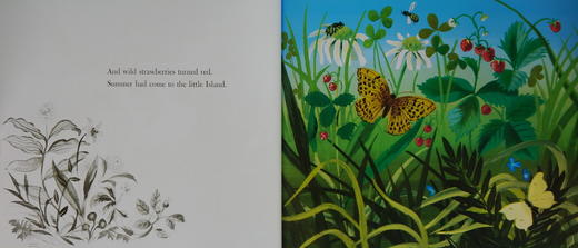 【凯迪克金奖】英文原版The Little Island 凯迪克金奖 Margaret Wise Brown 商品图2