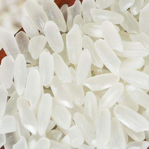 【塞外良田】五常稻花香大米 手拎袋实惠装 2.5kg 商品图3