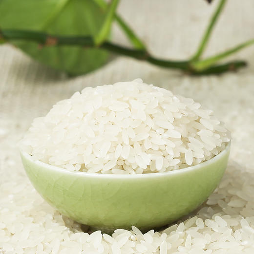 【塞外良田】五常稻花香大米 手拎袋实惠装 2.5kg 商品图2