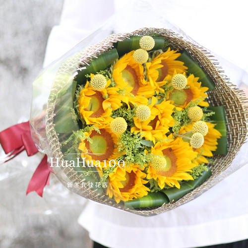 暖暖的怀抱丨9朵向日葵花束