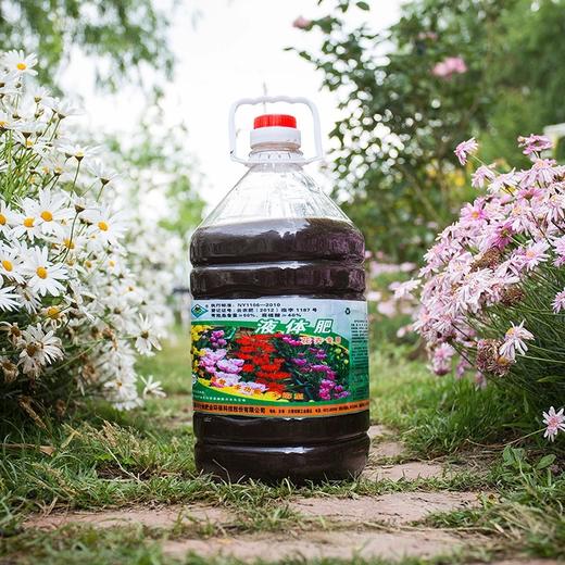 洱海牌花卉专用液体肥 商品图0