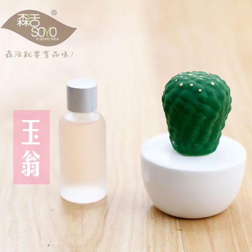 【为思礼 森活SOVO】多肉陶瓷香薰瓶 车载香薰 创意家居品味生活 商品图3