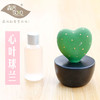 【为思礼 森活SOVO】多肉陶瓷香薰瓶 车载香薰 创意家居品味生活 商品缩略图0