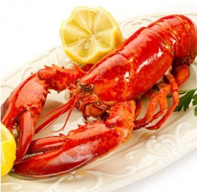 波士顿龙虾 约650g/只