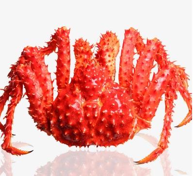 智利进口帝王蟹 约3斤-3.2斤/只 商品图0