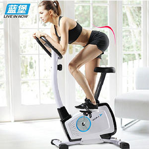 （永久下架）蓝堡静音家用磁控健身车 商品图0