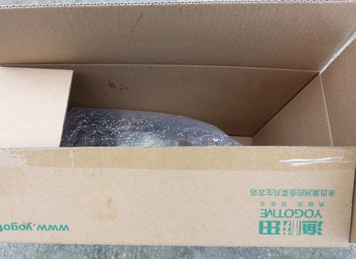 裸斑鲤鱼-500克（代杀配送） 商品图2