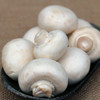 农家种西口蘑  口菇  自然生长 新鲜采摘  肉厚洁白  味道鲜美  225g 商品缩略图3
