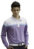 男款长袖Polo衫（12WPS015） 商品缩略图0