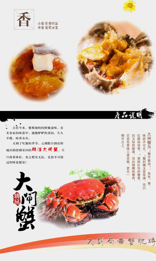 正宗苏州阳澄湖清水大闸蟹 商品图5