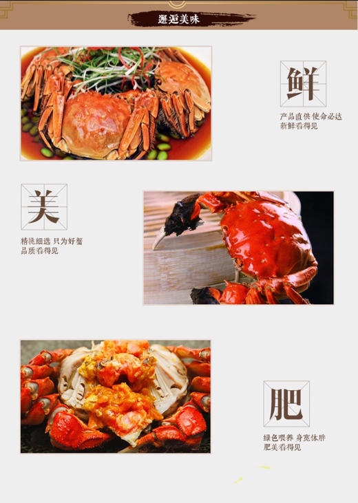正宗苏州阳澄湖清水大闸蟹 商品图4