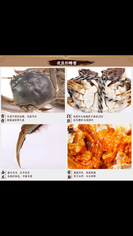 正宗苏州阳澄湖清水大闸蟹 商品图8