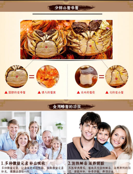 正宗苏州阳澄湖清水大闸蟹 商品图6