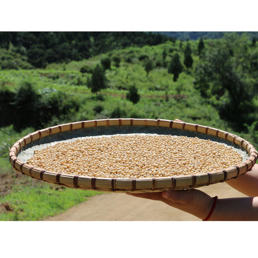 农村手工编制笸箩！晾晒专用 多规格可选 商品图3