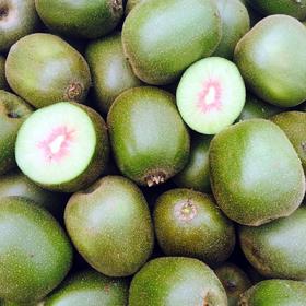 （永久下架）南野农庄红心猕猴桃（18只）