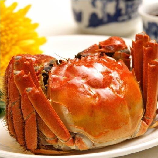 （永久下架）正宗 阳澄湖大闸蟹礼卡 商品图0