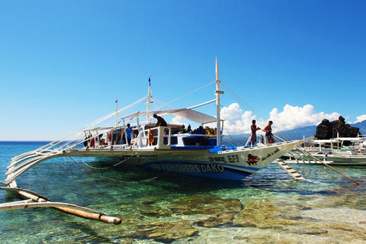 【度假村】菲律宾杜马盖地潜水套餐 - Pura Vida / Sea Explorers 商品图11