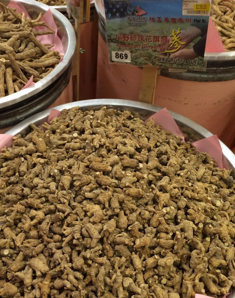 美国直邮威斯康辛州半野珍珠花旗泡参 编号869