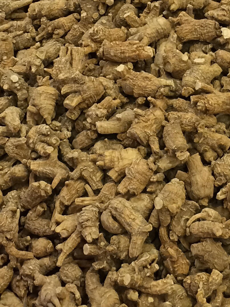 美国直邮威斯康辛州半野珍珠花旗泡参 编号869