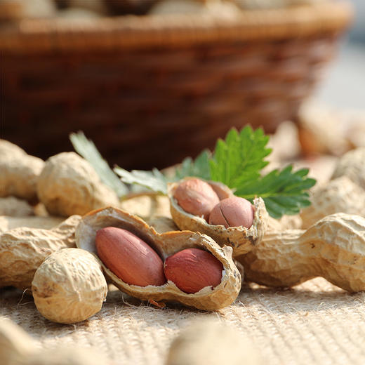 农家自炒的原味吊炉花生  传统味道  优选花生  颗粒饱满  口感酥香  炒花生 1斤 商品图1