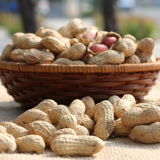 农家自炒的原味吊炉花生  传统味道  优选花生  颗粒饱满  口感酥香  炒花生 1斤 商品图2