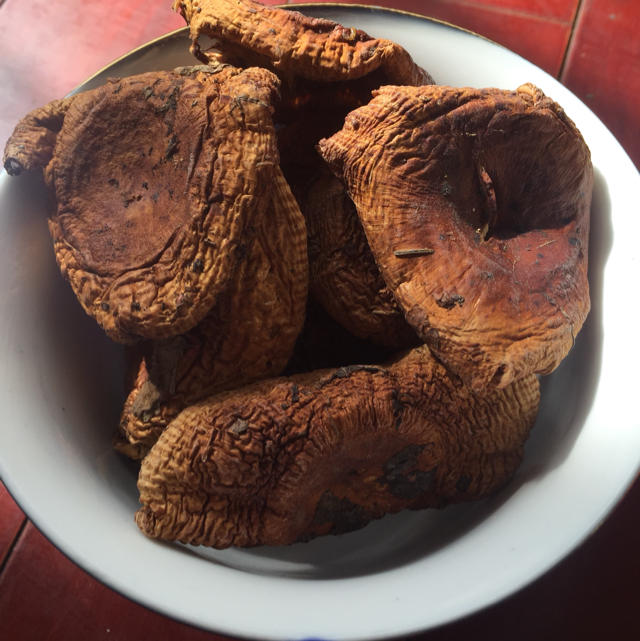 纯野生菌油辣菇当地人也叫苦辣菌干货500克装