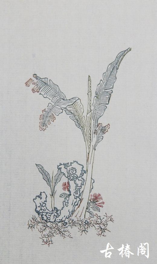 《萝轩变古笺》 商品图8